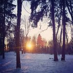 janice jefferson - @janicejefferson0.45 - Instagram