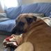 Janis Kane - Facebook