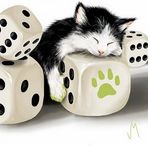 Janie Katz - Facebook