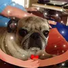 Janis Kelly - @janis.kelly09 - TikTok