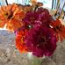 Janis Lloyd - Facebook