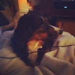 logan janis - @loganjanis239 - Instagram