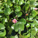 Janice Lorenz - @lorenzjanice - Instagram