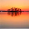 user3045250875854 - @janise.love - TikTok