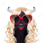 Janis lowe - @cowblend - Instagram