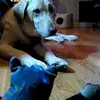 Janis Marie955 - @janismarie0404 - TikTok