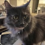 Janis Marie Belluccio - @janis_boo - Instagram