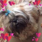 Janice McMahon - @janice.mcmahon.773 - Instagram