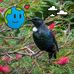 Janice O'Neill - Facebook