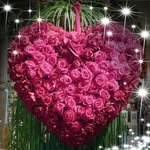 Janice Oswald - @janiceoswald - Instagram
