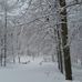 Janis Parrish - Facebook