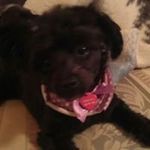 Janice Patton Reagan - @janicereagan - Instagram