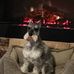 Janis Pedersen - Facebook