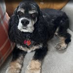 Janis Wolter Pendleton - @wolterpendleton - Instagram
