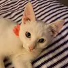 Jane Pierce - @janepierce5 - TikTok