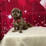 Janis Rice - @riceljanis081 - Instagram