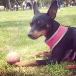 janis_rock - @janis_rock - Instagram