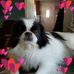 Janis Cameron Rogers - Facebook