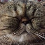 Janis Rogers - @janisrogers1800 - Instagram