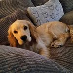 Janis Scott - @scottys48 - Instagram