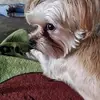 janisscottburgess - @janisscottburgess - TikTok