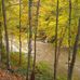Janis Shaw - Facebook