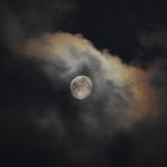 Janice Skinner - @skinner7991 - Instagram