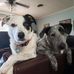 Janis Skinner - Facebook