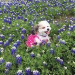 Janis Smith - @janis.smith.5011 - Instagram