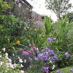 Janis Smith - @janis.smith.3597 - Instagram
