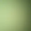Janis Stacy - @janis.stacy3 - TikTok