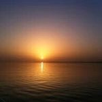 Janice Steiner - @steiner373 - Instagram