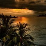 Janice steiner - @steiner_janice - Instagram