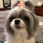 Janice Sutton - @janice.sutton.1276 - Instagram