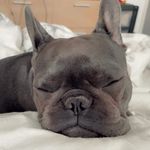 Janice Sutton - @janjanice6 - Instagram