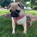 Janis Sutton - Facebook