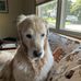 Janice Swanson - Facebook