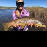 Janie Swanson - @letmetakeyoutobrowntownes - Instagram