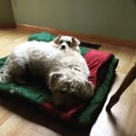 Janis Swanson - @janis.swanson22 - Instagram