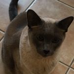 Janis - @travisjanis77 - Instagram