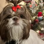 Janice Trent - @janice.trent - Instagram