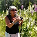 Janis Waite - @gecar11537 - Instagram