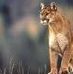 Janis Waite - Facebook