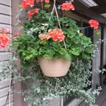 Janis Parker Walters - @janiswalters - Instagram
