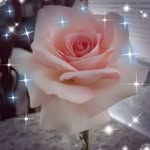 Janis Gail Watson - @janis.watson.73744 - Instagram