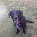 Janis Watson - Facebook
