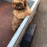 Janice Webster - @janice.webster.3979 - Instagram