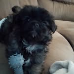 Janice Weir - @janicemadeline_ - Instagram