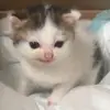 My name is jake - @janisweird - TikTok