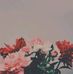 Janie Wiley - Facebook
